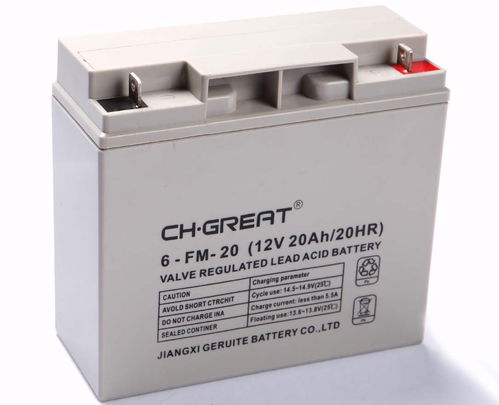 埃克倫斯電氣關于ch.great蓄電池6FM33的售后說明